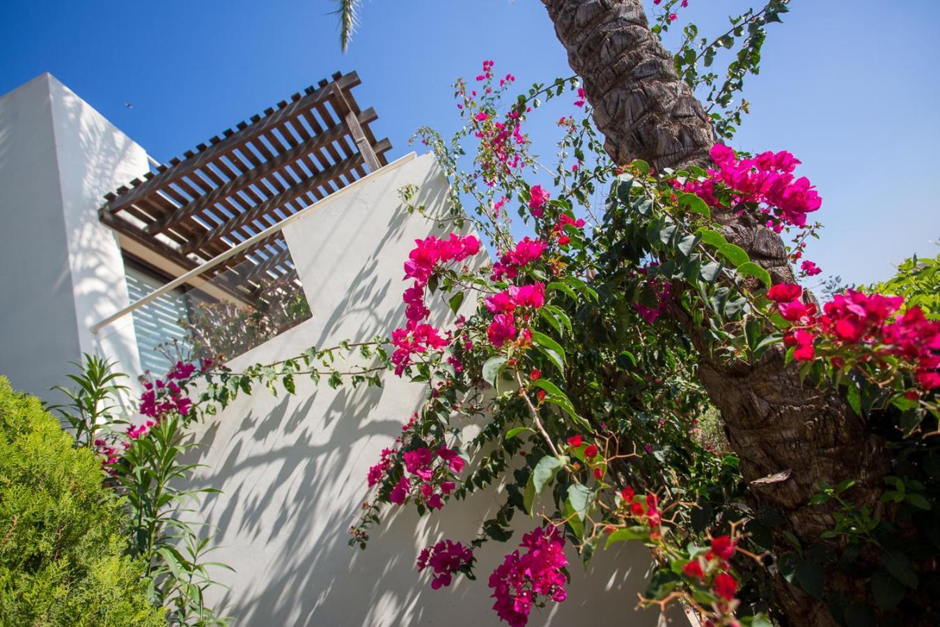 Penthouse Duplex Overlooking The Mediterranean Larnaka Exterior foto
